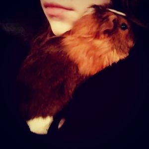 Meet your Posher, Lindsay